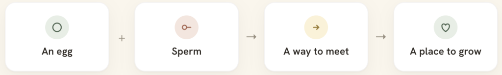 Diagram of the four things needed to conceive: an egg, sperm, a way to meet, and a place to grow.