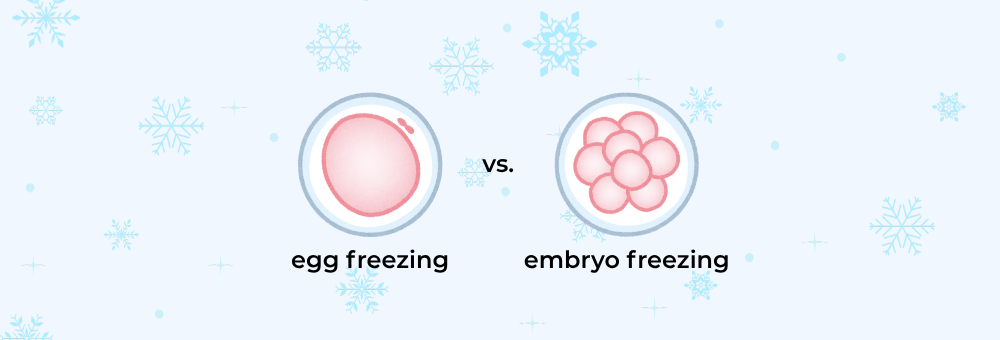 egg freezing vs embryo freezing